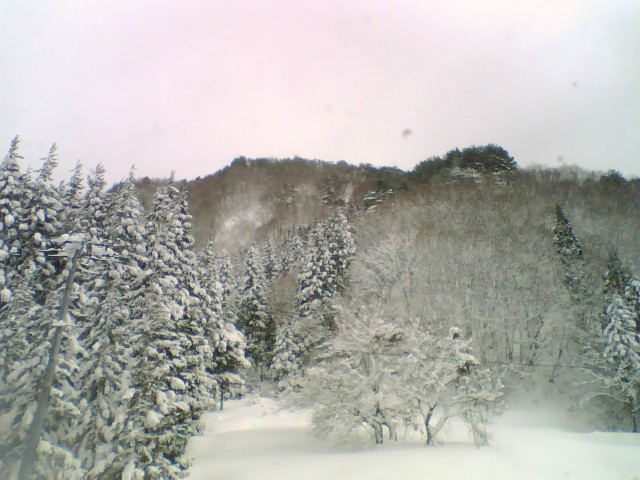 2009_0102_086.jpg