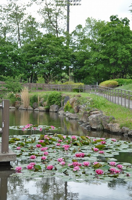 dsc_0032.jpg