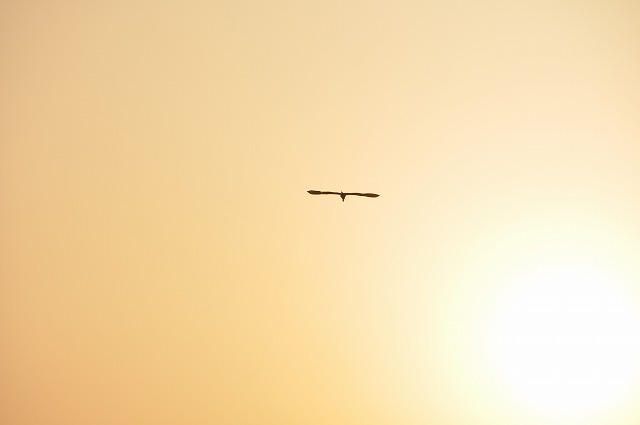 dsc_0061.jpg
