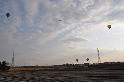 dsc_0007.jpg