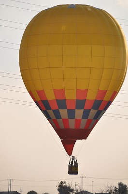 dsc_0012.jpg